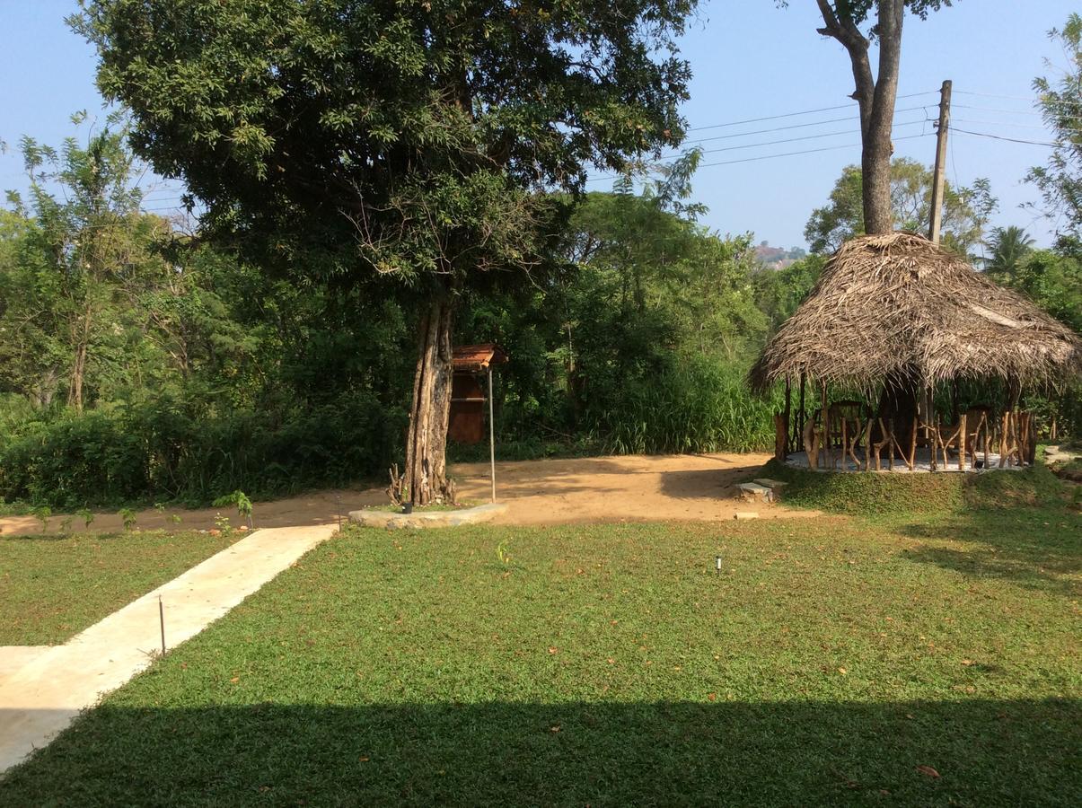 Hotel Sigiriya Rock Hide Esterno foto